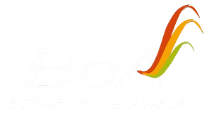 RESERVAS E INFORMACIÓN DE VUELOS